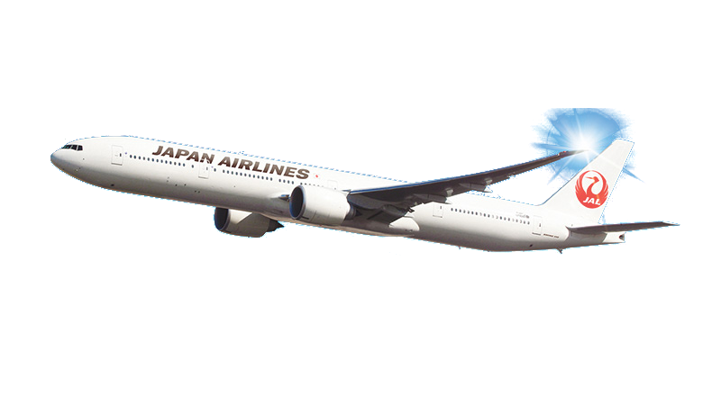 信州から沖縄へ鮮度を運ぶJAL機体
