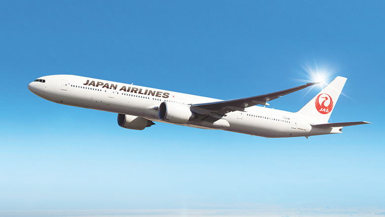 空を飛ぶJAL機体